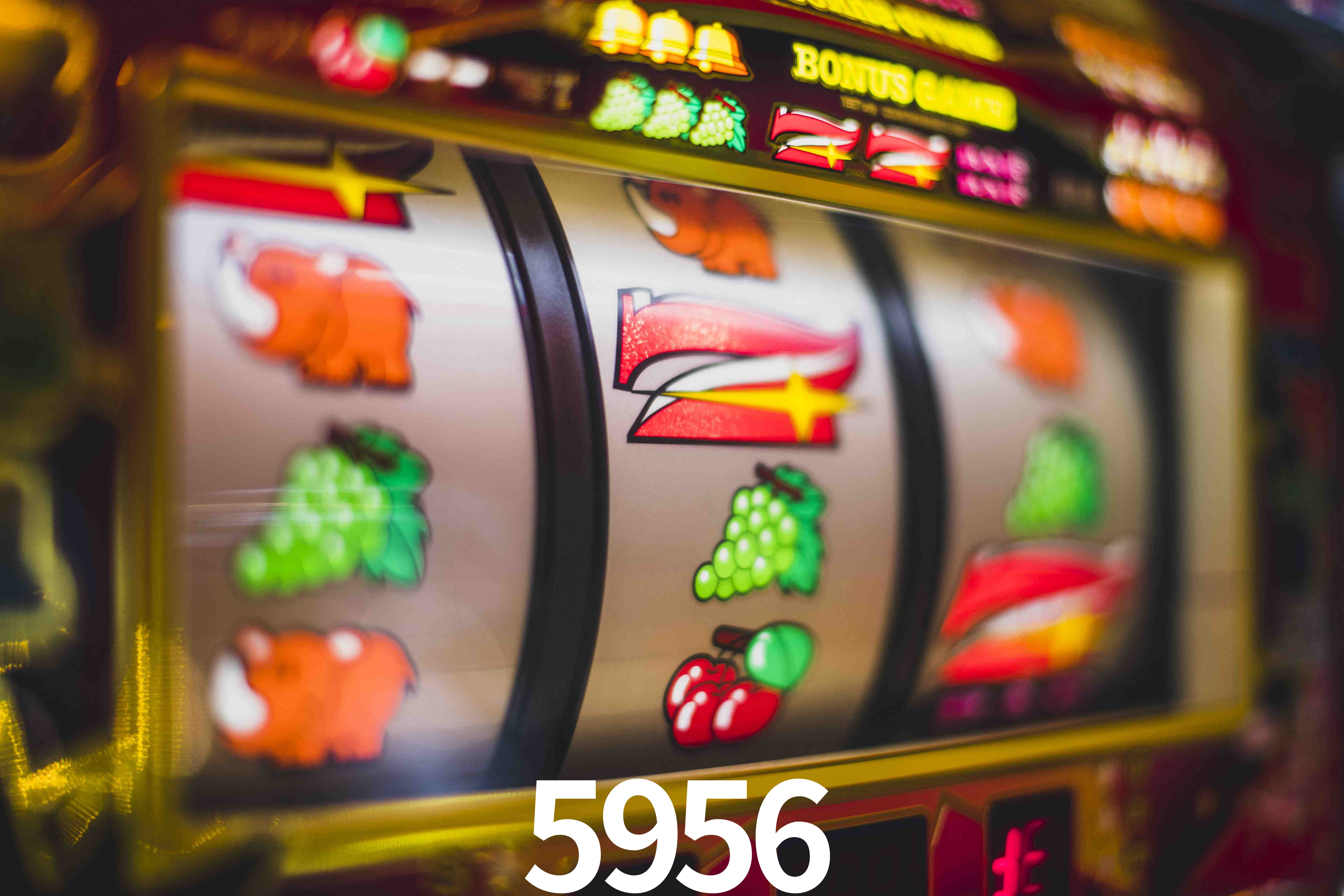 VIP Casino 5956